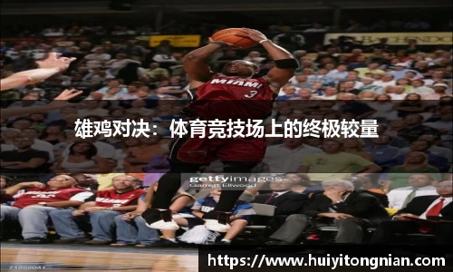 雄鸡对决：体育竞技场上的终极较量